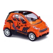 Busch Smart Fortwo 07, Fußball 2010